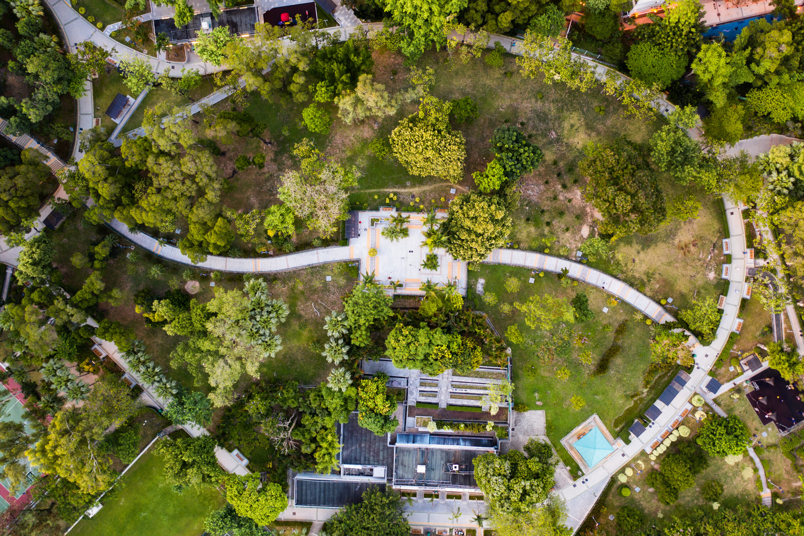 aerial shot from hong kong