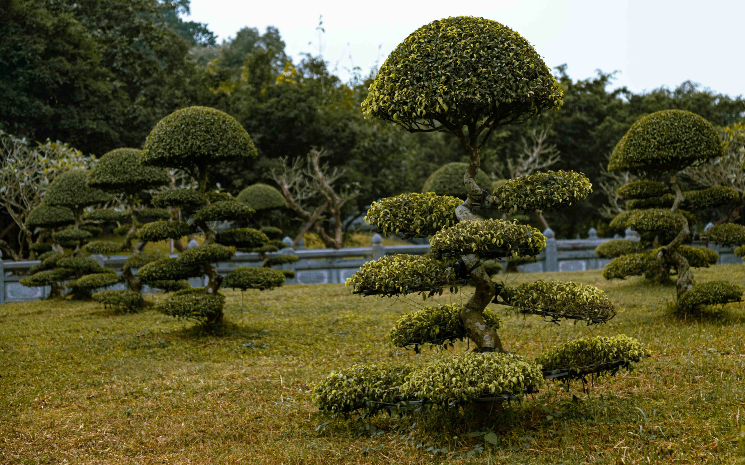 bernd dittrich qehdocahzoe unsplash