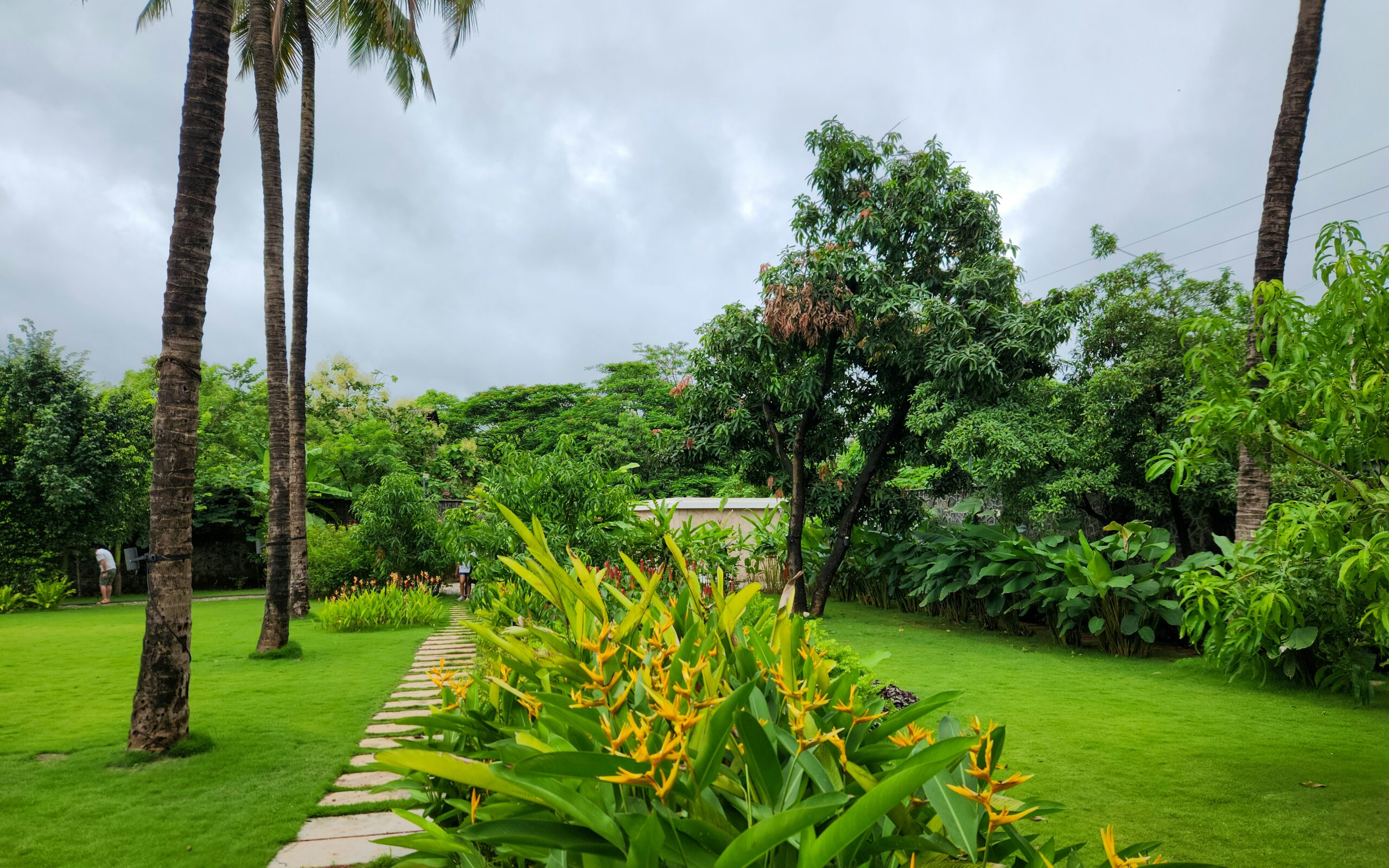 zoshua colah p1iq55fnz58 unsplash